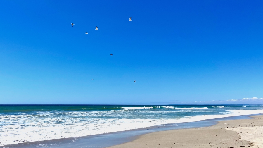 0 Bedroom Property for Sale in Dwarskersbos Western Cape